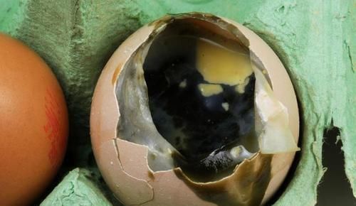 臭鸡蛋|哪种鸡蛋不要吃、不能常吃?可别犯这些错误