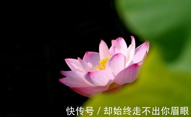 幸福|下个月内，缘分与桃花魂牵梦萦，真爱靠近，余生幸福的4大生肖