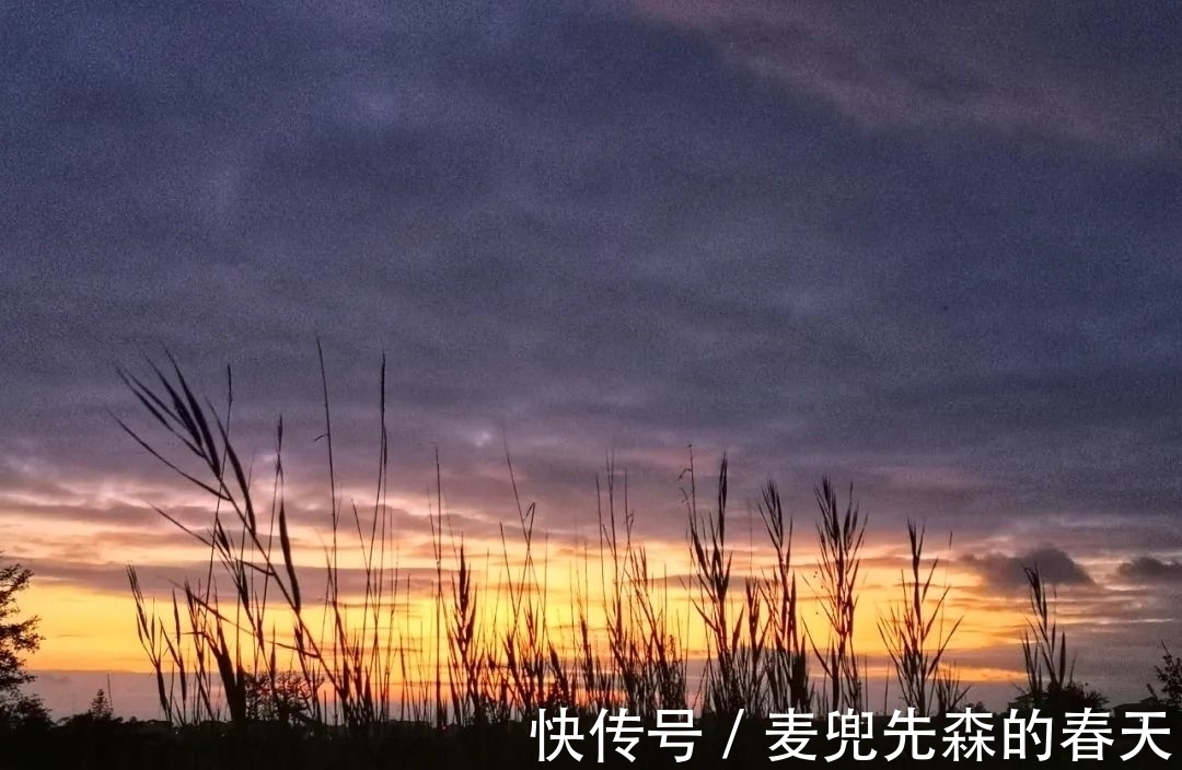 竹炉#今冬最闲适的一首诗,这种慢生活,太令人向往了!