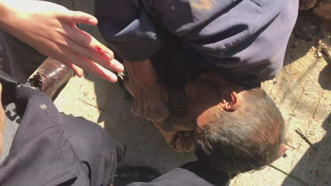 补虚|张仲景的补虚第一方，可大补虚劳，气血两虚、肾虚、脾虚均能用