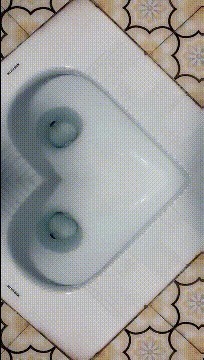 |搞笑GIF段子:关键时刻要懂得随机应变,尤其是面对强者的时候