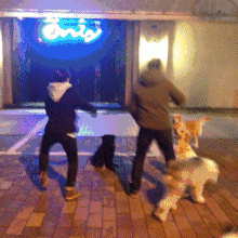 |搞笑GIF：带着一群狗晚上走夜路，看谁敢欺负我