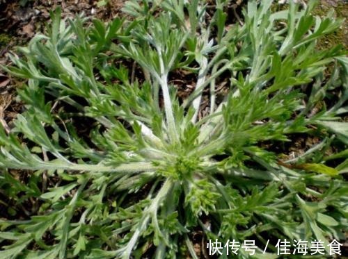 女性|女性总是皱纹太多多吃此菜，补充气血，缓解痛经，远离妇科炎症