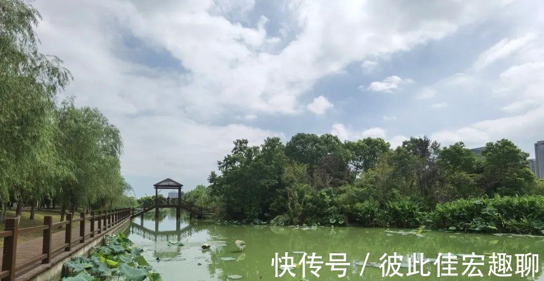 南昌|沿衢深树，夹岸繁英 ‖ 南昌艾溪湖湿地公园