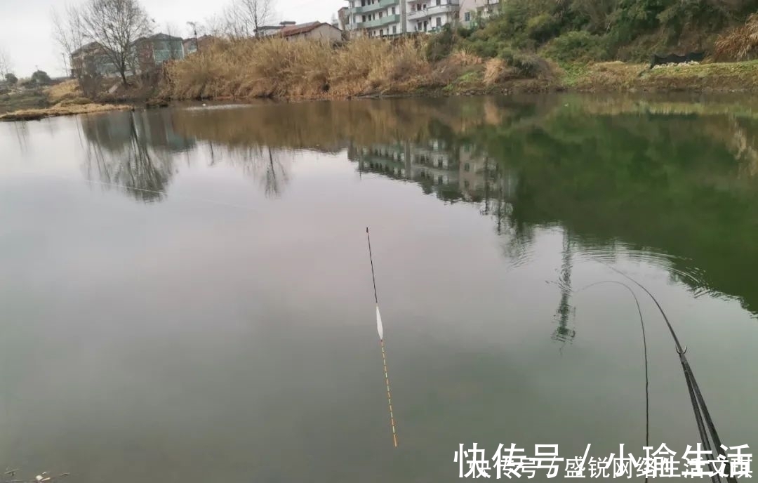 谁说钓鱼找底不重要?它的作用可不仅是为了调漂,绝不可省略
