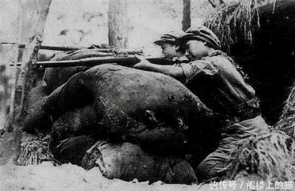 战争|一群平均年龄仅16岁的孤儿，痛杀200日伪军，唯一照片被找到