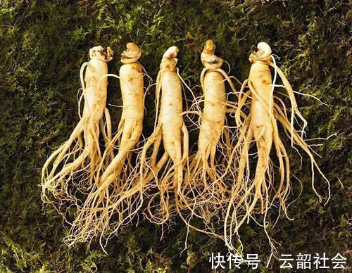 服用|孩子吃保健品吃成“性早熟”?这4类保健品娃不能碰,家长留点心