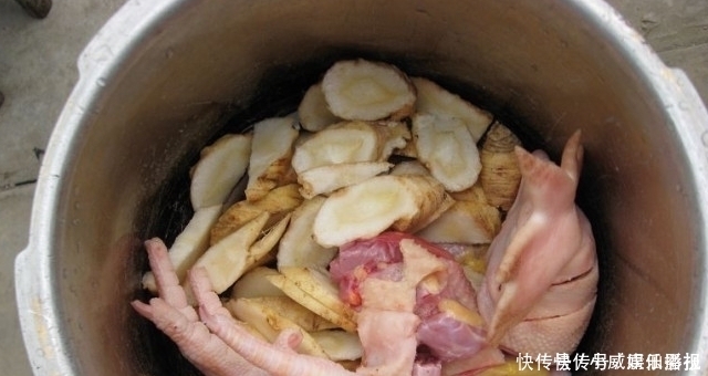 见到此草尽量移植,别铲除,因为块根很珍贵,70元一斤