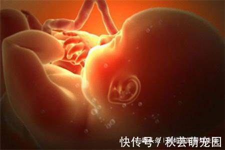 体重|孕晚期最后一个月胎儿还会长吗?还会长多少?