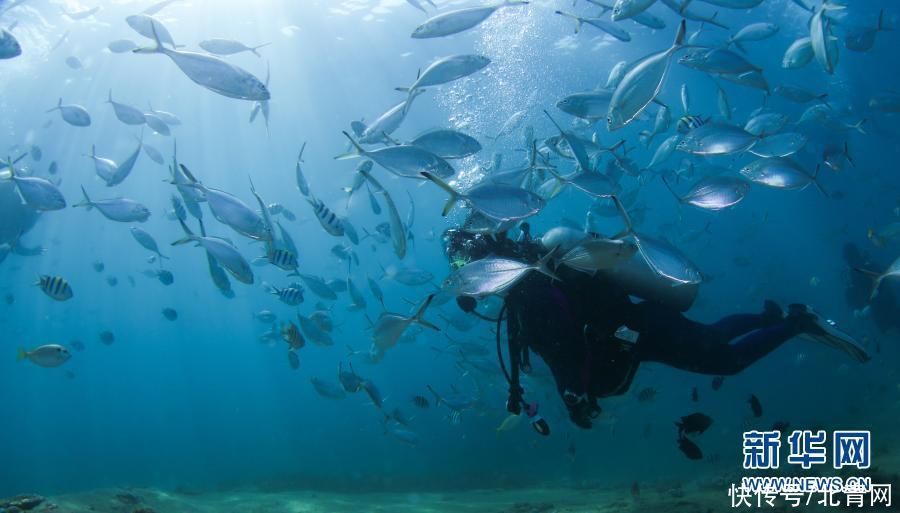 海南三亚：潜水享假期