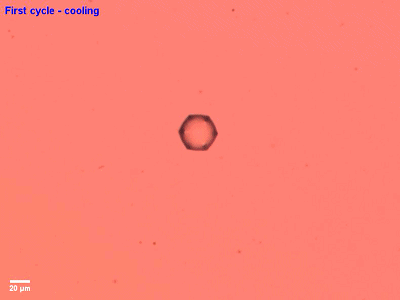 烷烃|Nature子刊：油滴“游泳”，姿势少见