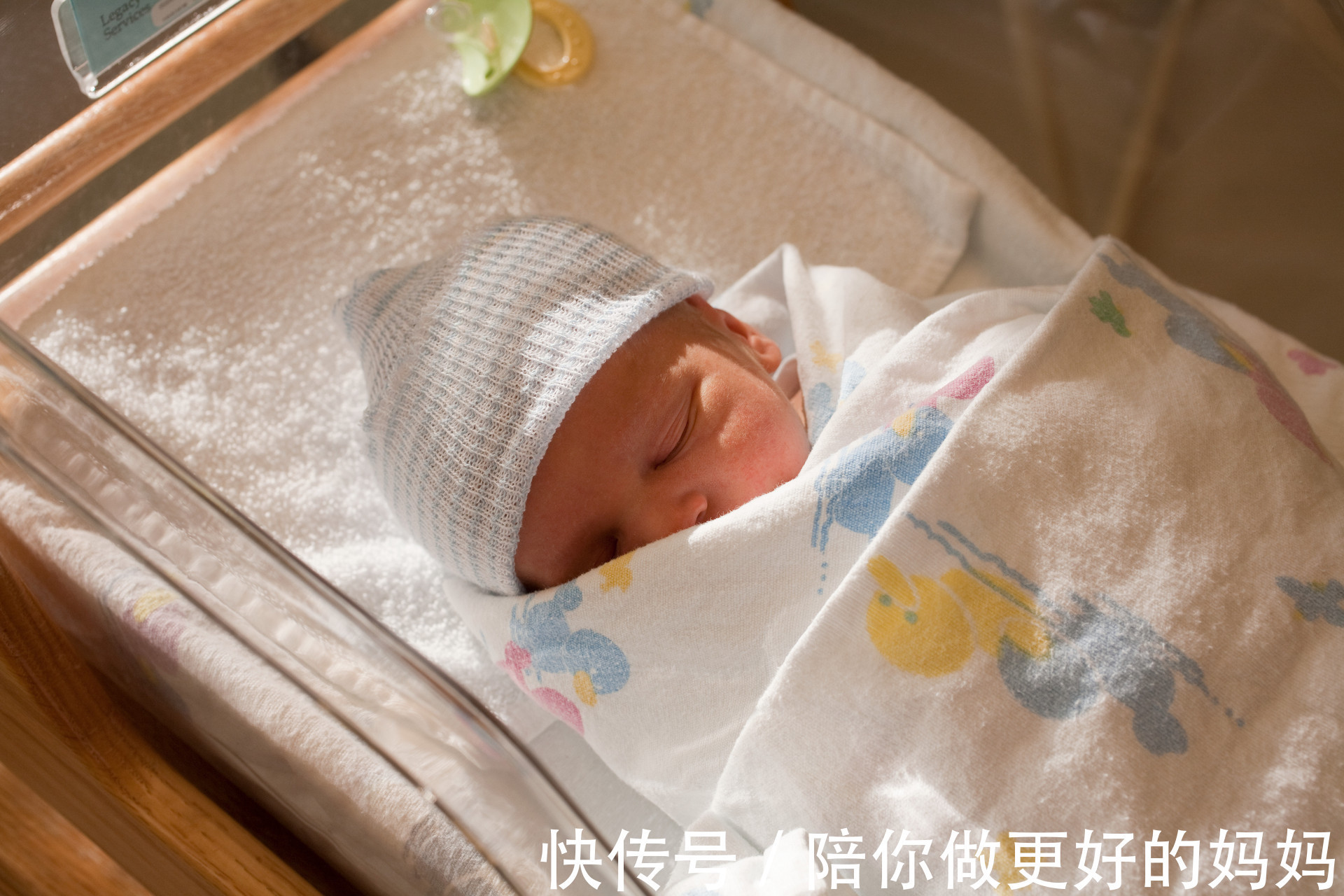 智商|宝宝的智商和相貌到底遗传谁?科学研究都是这么说的......