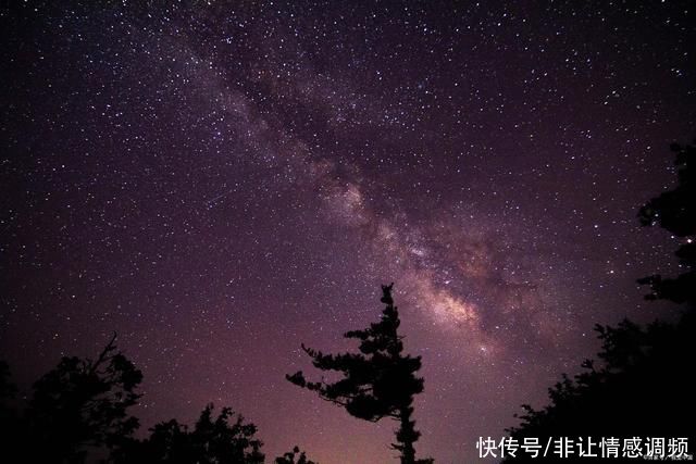 星星 不要天上的星星，只要尘世的幸福