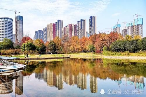 冬日|红叶似火 黄叶如甲 冬日里的青山和平公园 风景如画