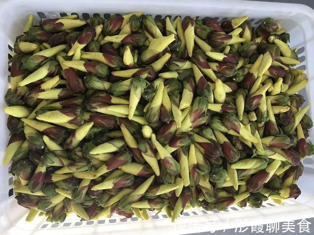 黄秋葵|曾被认定早已灭绝，“死而复活”之后，却成了餐桌上一道小菜