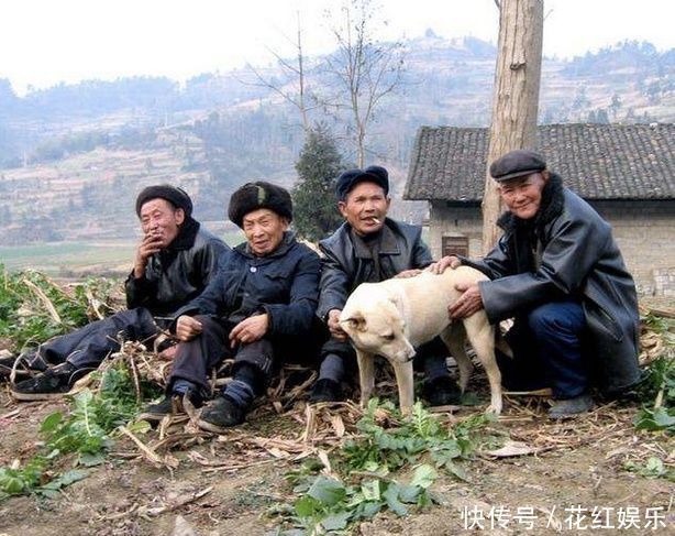 韭菜和大蒜|农村俗语“葱韭蒜,莫见面;辣对辣,叶不发”啥意思老话在理吗