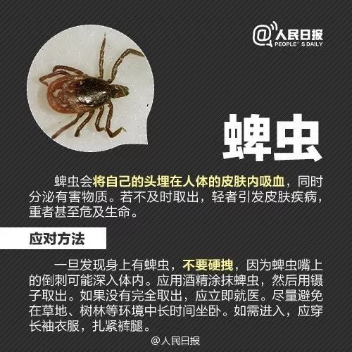 恙虫|江西男子被它叮了一下，紧急抢救