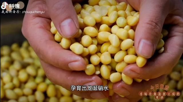 舟曲美食篇——龙涎硝水豆腐|美丽甘肃 | 浸豆