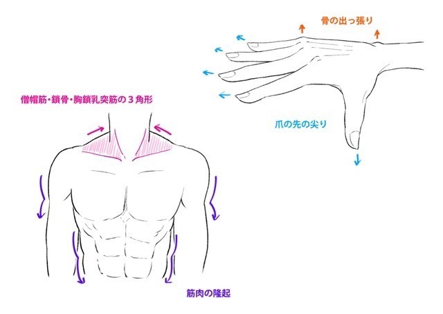 人体！如何提升人物完成度？教你细化人体细节提升人物完成度！