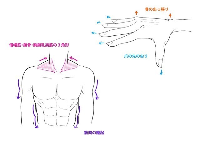 人体!如何提升人物完成度?教你细化人体细节提升人物完成度!
