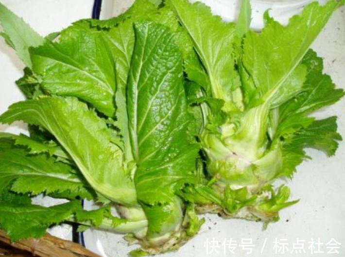抱子芥|多給孩子吃此菜，排出身體垃圾毒素，視力越來越好，身高蹭蹭的長