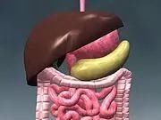 经常洗内脏,气血才两旺!老中医清洁处方,洗一洗,五脏都健康!