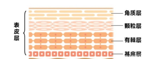 敷完面膜要洗脸吗?揭秘美容院面部清洁步骤!(实拍图)