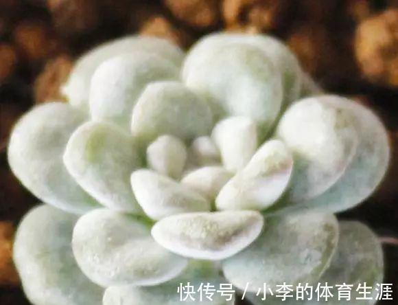 要想成为一名合格的肉友,你还需要知道这些黑话