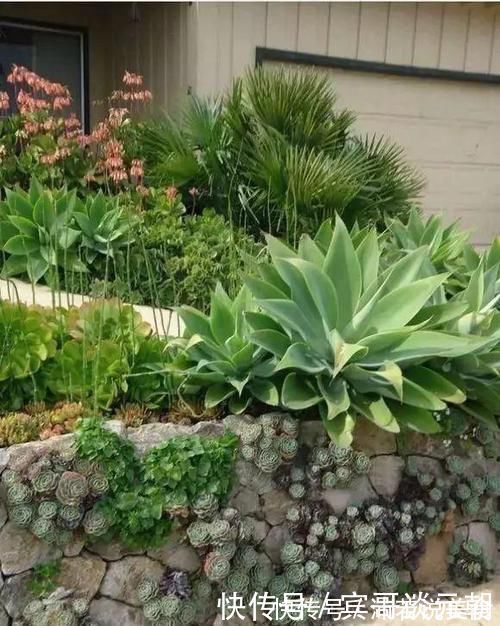 郁金香|7个绝美花园,个个美炸了天,等有钱了我也要建一个