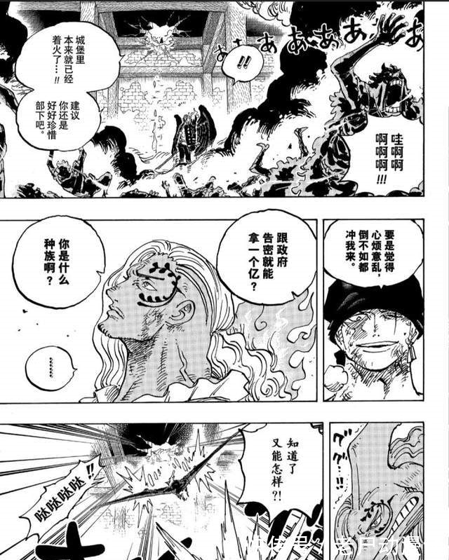 霜月耕三郎|海贼王解读:盘点下索隆与烬的战斗过程