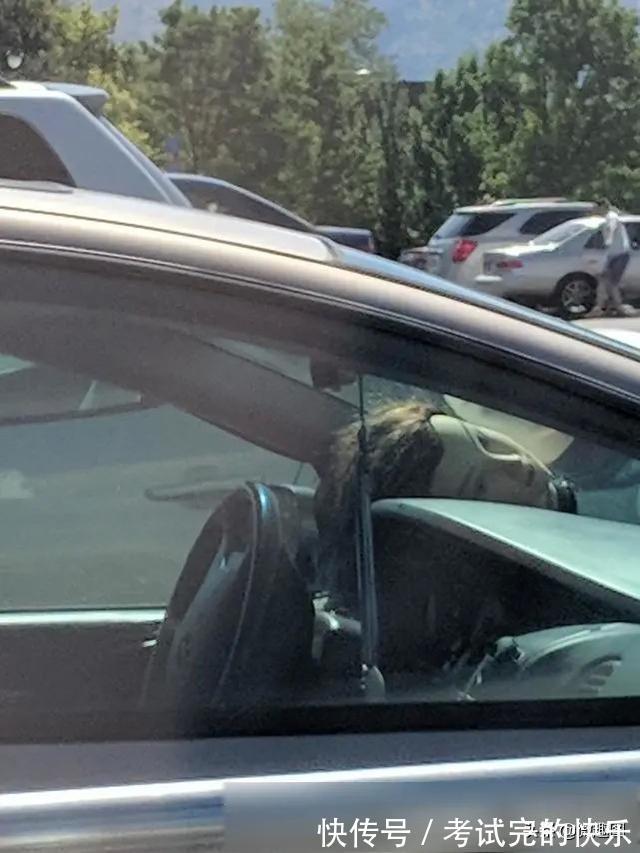 |47张“倒霉又搞笑”的图片,这些人上辈子是毁灭了银河系吗?