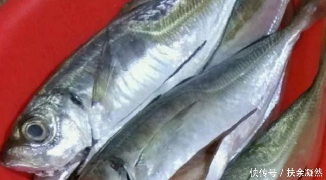 美味|冬天碰到这鱼我从不还价,买它好几斤,酱油水简单一煮就很美味