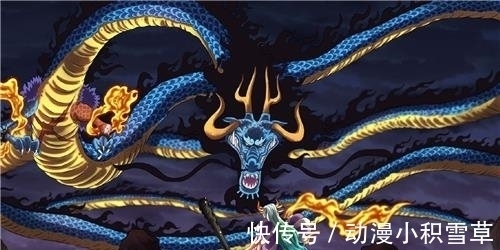 路飞|大和的恶魔果实是什么？我在日本快递上找到答案，天生克制凯多！