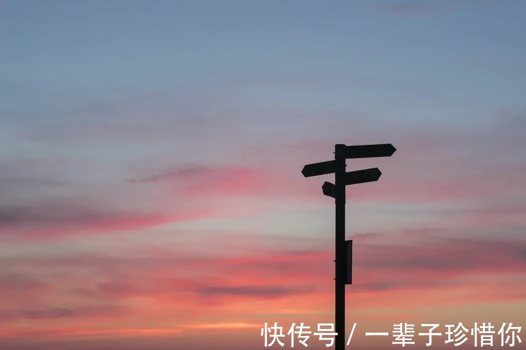 高普尼克#如果只能推荐一本育儿书,我会推荐《园丁与木匠》