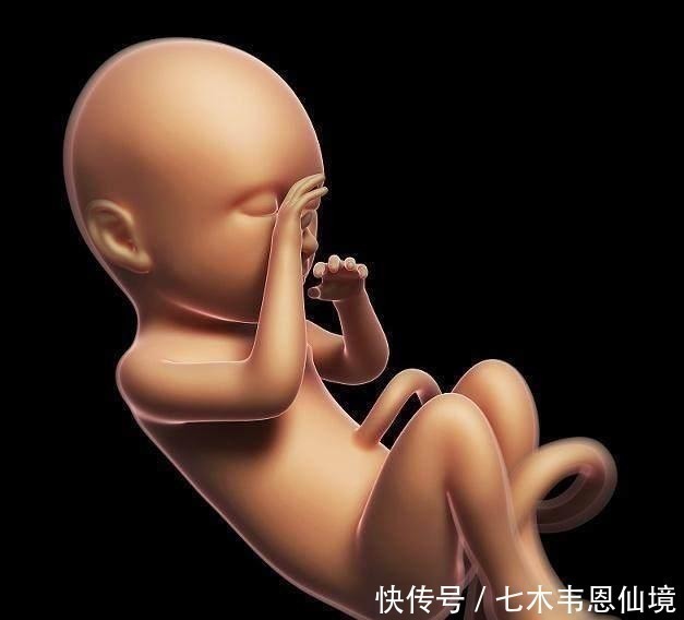 肚子|四维做到一半,小家伙竟然在妈妈腹中干“坏事”,连医生都乐了
