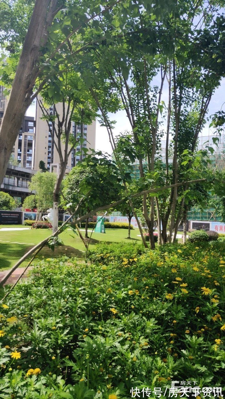 碧桂园|巴中巴州区热门楼盘项目现场传来一批新照片，请查收