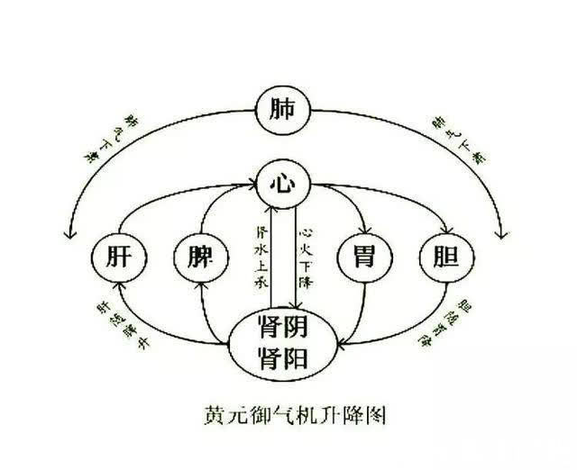 后天|秋季是养脾胃最佳时期!国医的调脾胃秘方,都在这里了!