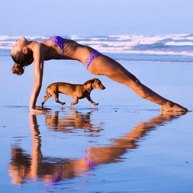 动作|练瑜伽不仅要持之以恒,还要勤于总结,掌握这几点,让动作更标准