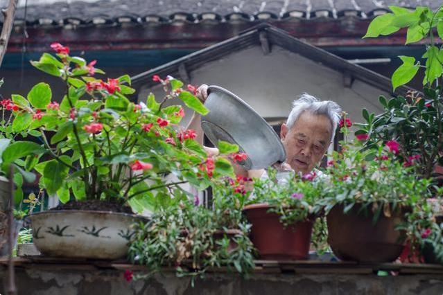 “见干见湿”原来是这个意思，我一直没搞懂，难怪养不好花