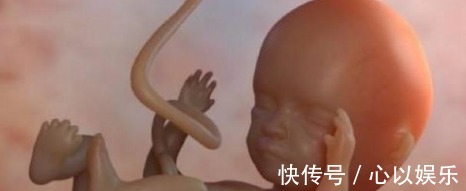 孕期|胎儿的性别,事实是在孕期的这个时间段形成的,宝妈们来看看