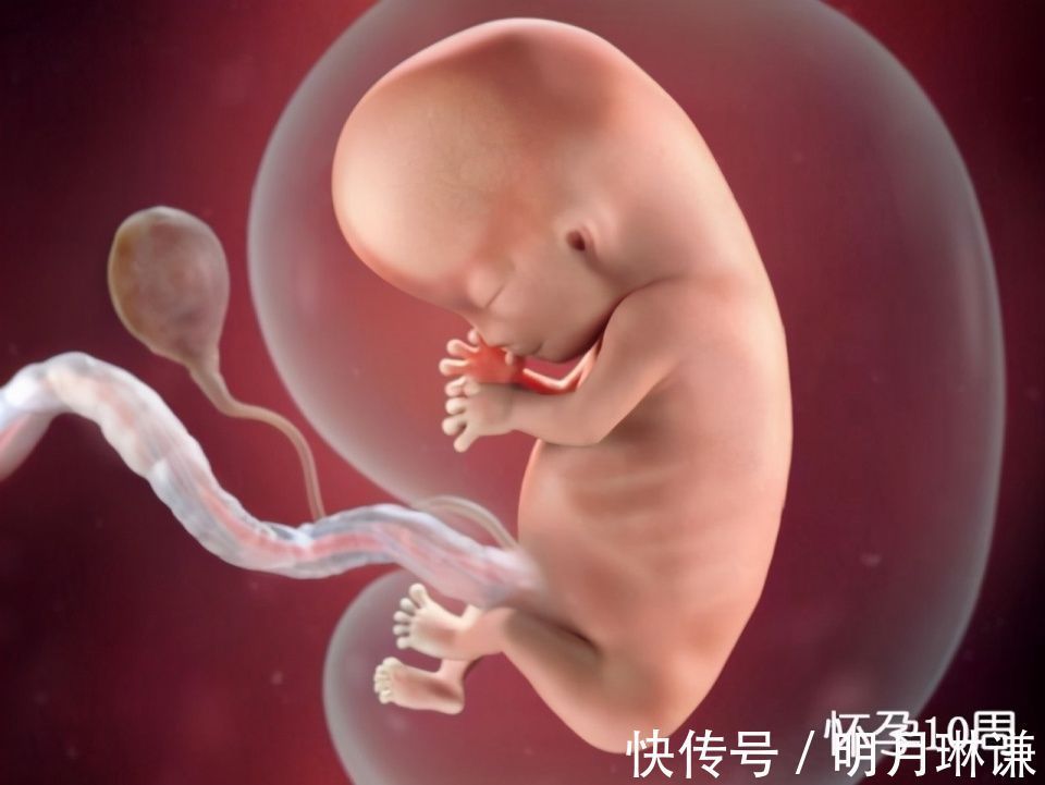 皮下脂肪|组图了解胎儿在子宫中的生长过程,生命太奇妙了!准爸妈们看看