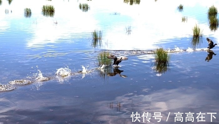 花湖|有一个美丽的地方叫若尔盖花湖