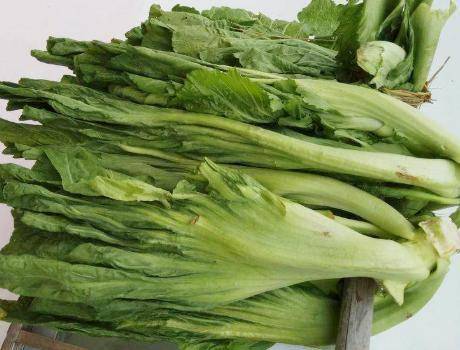 腌酸菜时,有人加开水有人加盐水教你正确做法,一星期就变酸