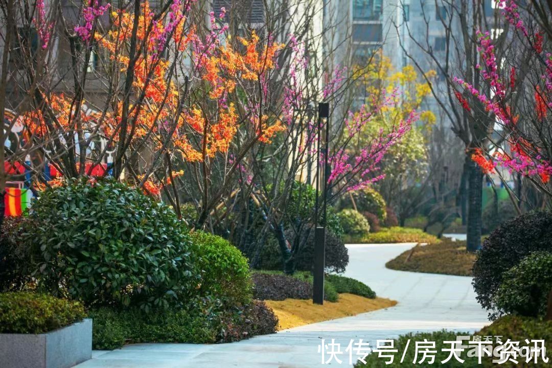 实景|想看十堰茅箭区楼盘的最新现场实景，选房一定要看