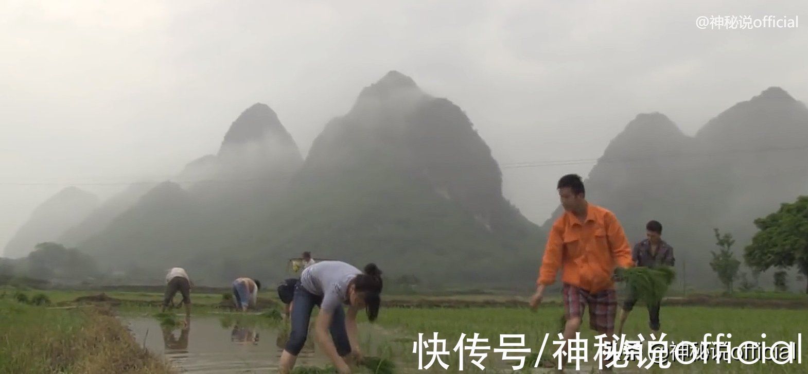 黄河水清&“黄河清，圣人出”，如今黄河水突然清澈，预示着什么？