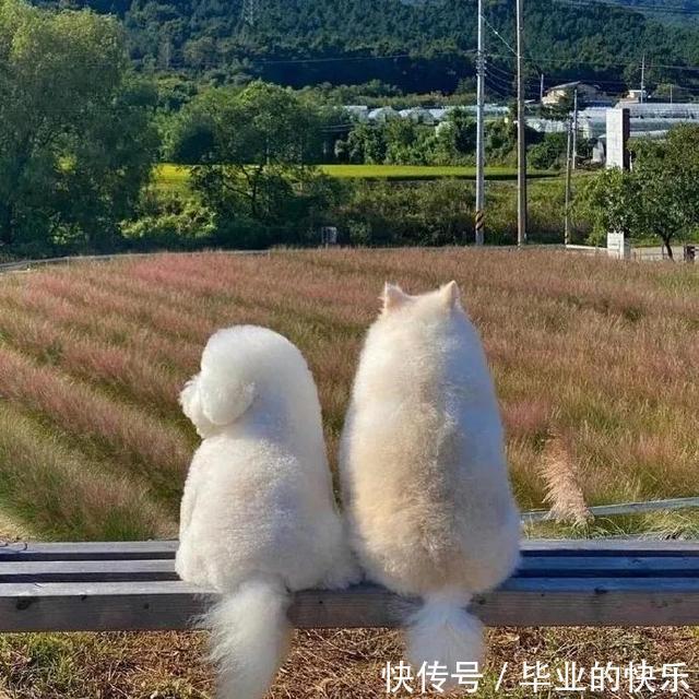 |搞笑图集:你们公司中秋发了啥?网友:发了个通知,说不放假