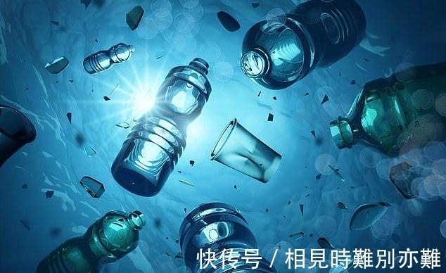 细菌|新研究发现:牛靠吃草长肌肉,所以能消化塑料,牛为什么这么牛?