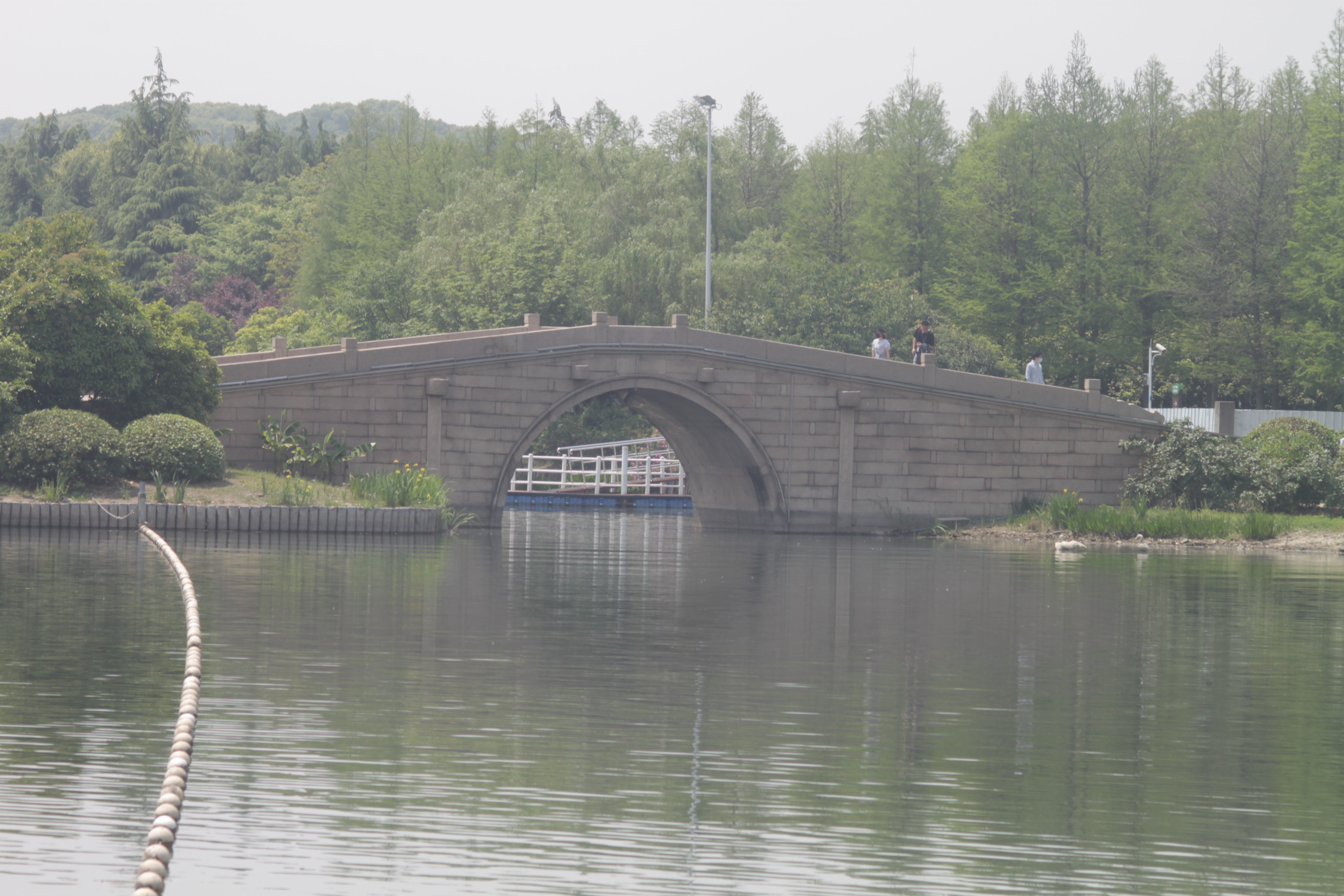 踏上观湖路的拱桥，终于成为别人眼中的风景