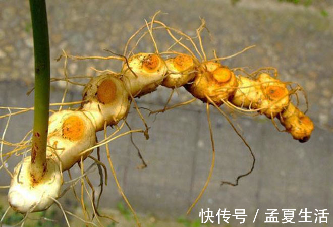 子宫|妇科大夫女人来月经,别贪“2红”,常喝“2黄”,防妇科炎症