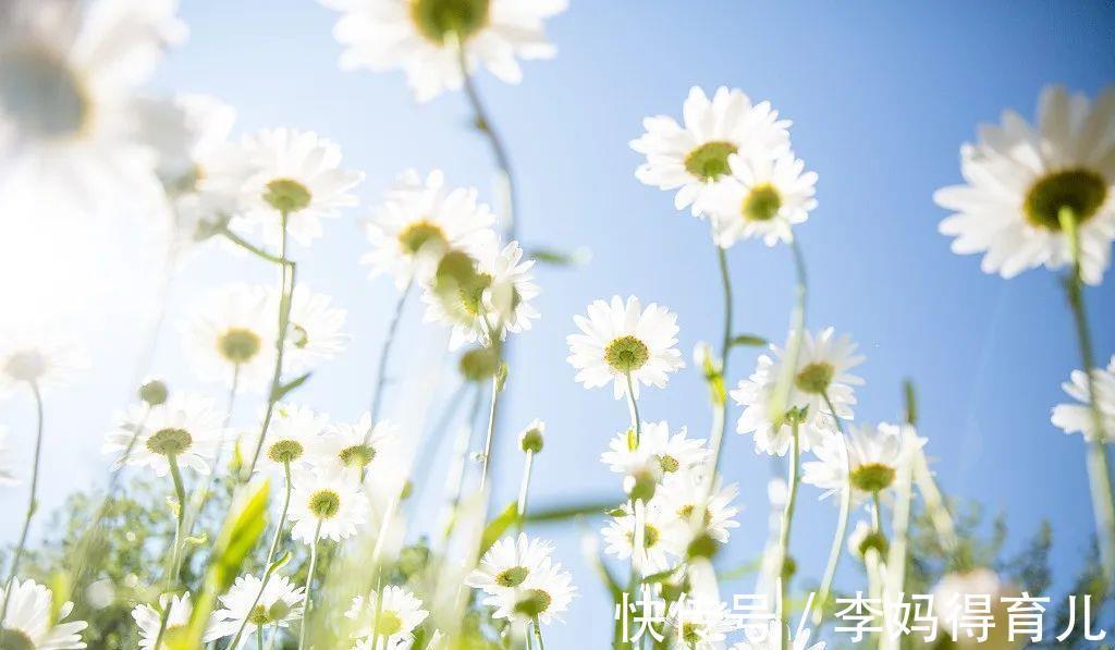 寒性体质|三伏，一年一次彻底排寒的机会